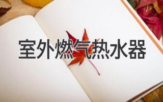 冬季取暖神器：室外燃?xì)鉄崴魅娼庾x