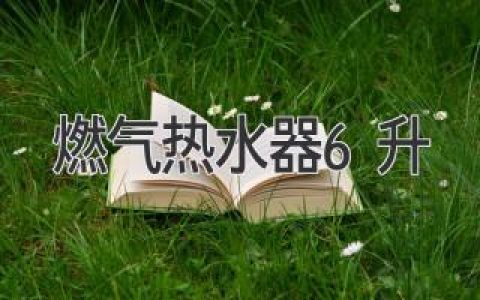 小戶型浴室的最佳選擇：6升燃氣熱水器全方位解析