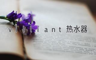 villiant熱水器