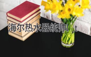 海爾熱水器統(tǒng)帥lt