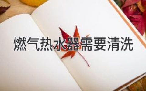 燃?xì)鉄崴鳎簞e讓它成為家中安全隱患，該洗洗了！