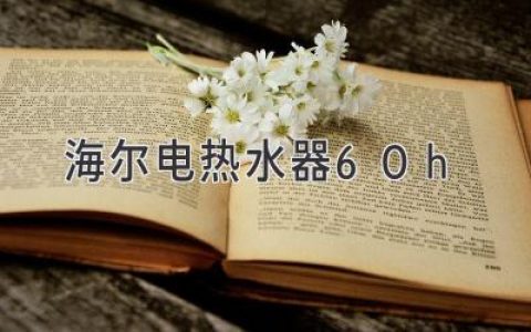 海爾電熱水器 60H：高能效、耐用、智能的家庭熱水解決方案