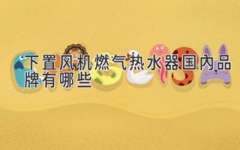 高性價比選擇！盤點值得信賴的下置風(fēng)機燃氣熱水器國產(chǎn)品牌