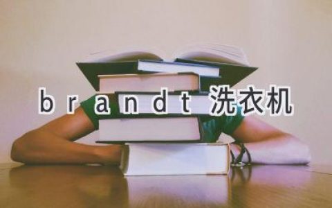 Brandt 洗衣機：高效清潔衣物的理想之選