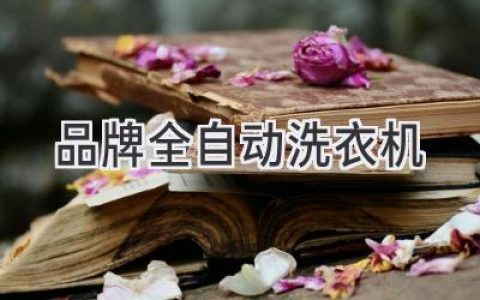 解放雙手，告別洗衣煩惱：智能洗衣新體驗(yàn)