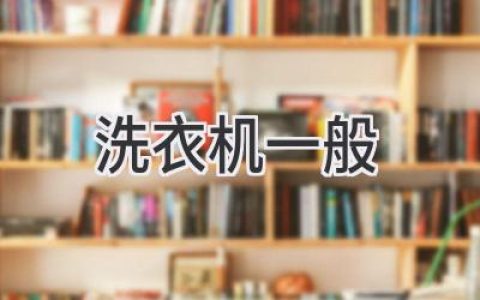 洗衣機(jī)常見問題解答：如何選購、使用和保養(yǎng)