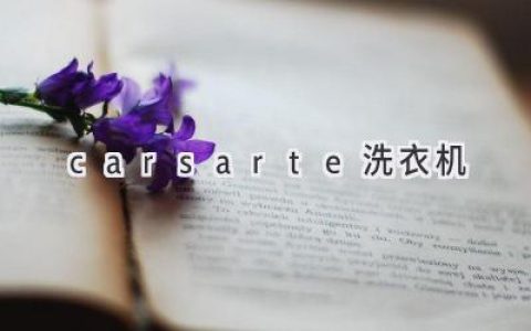 Carsarte洗衣機：智能科技與便捷洗滌的完美結(jié)合