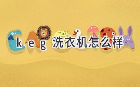 體驗(yàn)未來洗滌：顛覆傳統(tǒng)，探索更智能、更高效的洗衣方式