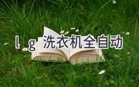 告別繁瑣，解放雙手：智能洗衣新體驗