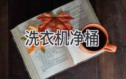 洗衣機凈桶深度解析：清潔神器還是雞肋？