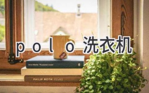 探索智能洗護新體驗：Polo洗衣機深度解析