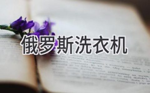 俄羅斯的家電市場(chǎng)：探索歐洲品質(zhì)與本地品牌的獨特魅力