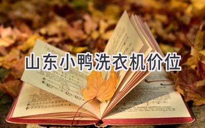 山東小鴨洗衣機價位