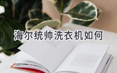 海爾統帥洗衣機如何