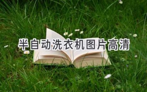 洗衣機新選擇：簡(jiǎn)潔實(shí)用，省錢(qián)省心！