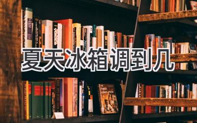 夏天冰箱調到幾