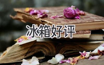 冰箱好評(píng)