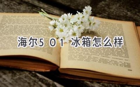 海爾BCD-501冰箱評測：優(yōu)缺點(diǎn)分析，值得入手嗎？