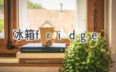 冰箱fridge