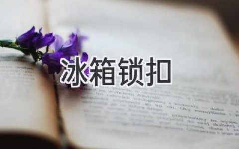 冰箱門(mén)鎖扣：守護美味，安心生活