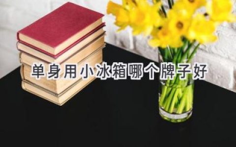 單身公寓的制冷神器：小冰箱選購指南，幫你找到完美伴侶！