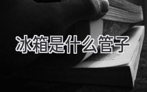 冰箱內(nèi)部的“血管”：揭秘制冷系統(tǒng)的奧秘