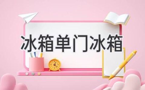 選擇你的完美伴侶：探索單門(mén)冰箱的獨特魅力