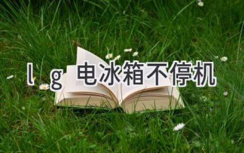 LG冰箱神秘“永動機”？揭秘不停機背后的真相！