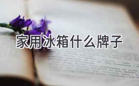 選購指南：哪款冰箱適合你的家庭需求？