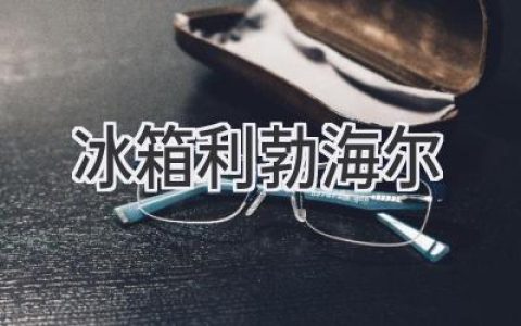 頂級冷藏體驗：利勃海爾冰箱，科技與藝術(shù)的完美結(jié)合