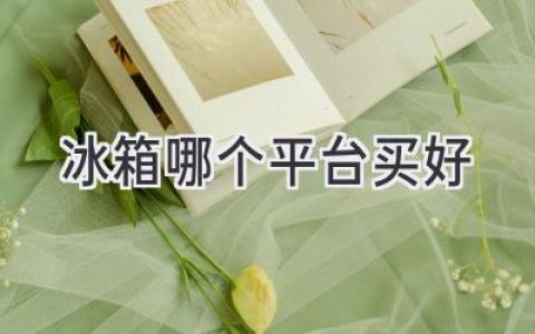 挑選冰箱，哪個(gè)平臺更靠譜？揭秘電商平臺優(yōu)劣勢，助你買到最合適的家電