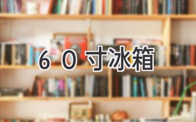 60寸冰箱