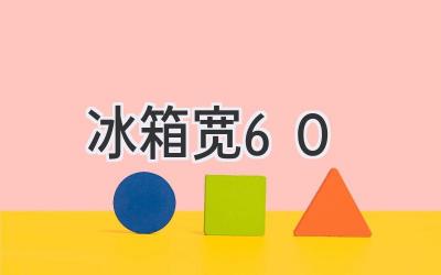 冰箱寬60