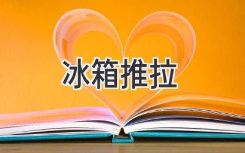 冰箱推拉門(mén)：選購指南，打造高效廚房空間