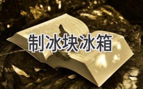 告別手動制冰，解放你的雙手：冰箱制冰功能全解析