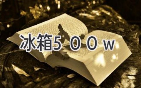 500W冰箱：大容量冷藏，滿足你的存儲(chǔ)需求