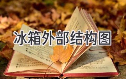 冰箱結(jié)構(gòu)全解析：從外觀到內(nèi)部，一文讀懂你的冷藏秘訣！