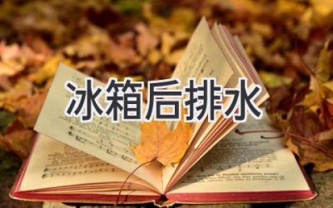 冰箱后邊滴水？別慌，教你輕松解決！