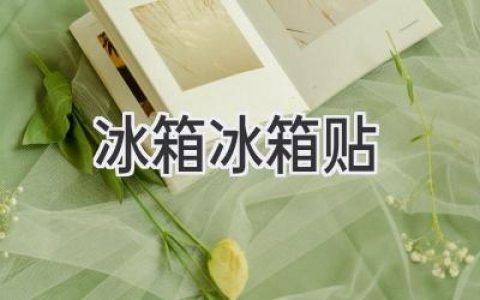 讓你的冰箱煥然一新：創(chuàng  )意冰箱貼，點(diǎn)亮你的生活