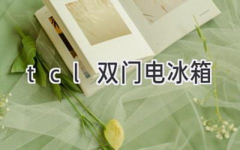 TCL雙門(mén)冰箱：冷藏保鮮，輕松生活