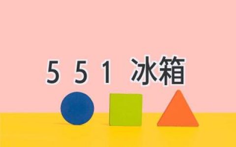 551 冰箱：你值得信賴的冷藏守護(hù)者