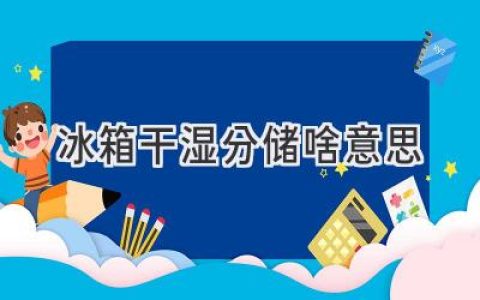 冰箱里的“干濕分離”：讓食物更美味，更健康！