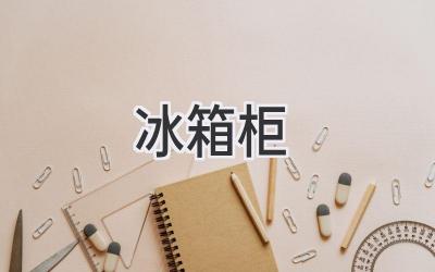 冰箱 柜