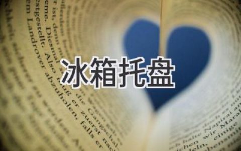 冰箱里那些不可或缺的“小幫手”：如何選擇和使用冰箱托盤？