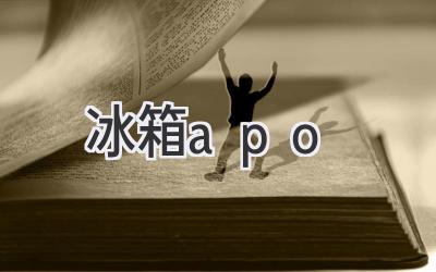 冰箱apo