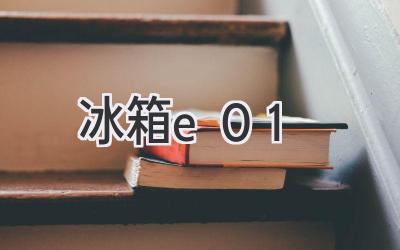 冰箱e01