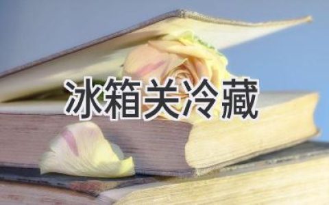 冰箱冷藏室該關(guān)嗎？節(jié)省電費(fèi)的秘密武器！