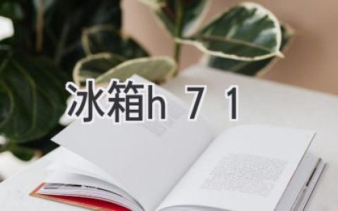 智能家居新選擇：探索H71冰箱的獨特魅力