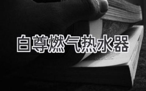 舒適沐浴，溫暖相伴：揭秘白尊燃氣熱水器的高效與節能