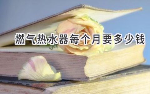 燃?xì)鉄崴髅吭氯細(xì)赓M(fèi)：影響因素與省錢妙招